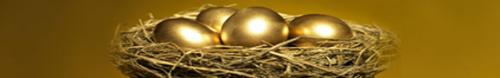 Golden Eggs - the lure of gold....simply irrestible