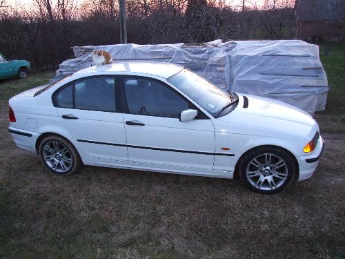 BMW320td  - my BMW320td e46 1998.