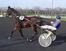 Racing sulky - In the US Standardbreds are used in harness racing.