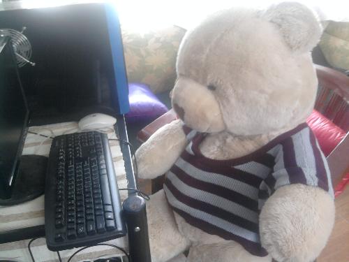 big brother online - my teddy bear is often called 'Big Brother', a valentine's gift before from an ex.