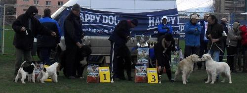 dog show winners - at CAC Brasov 2011