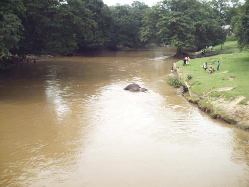 Manik River - Manik River of Kataragama