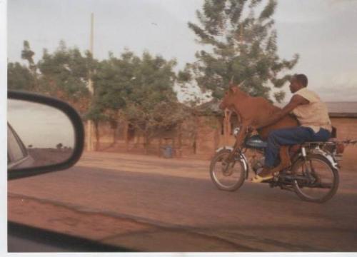 Double Ride ! - Man transporting his pet ...
