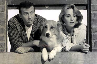 Mad About You - It starred Paul Rieser and Helen Hunt. Murray the dog was played by Maui.