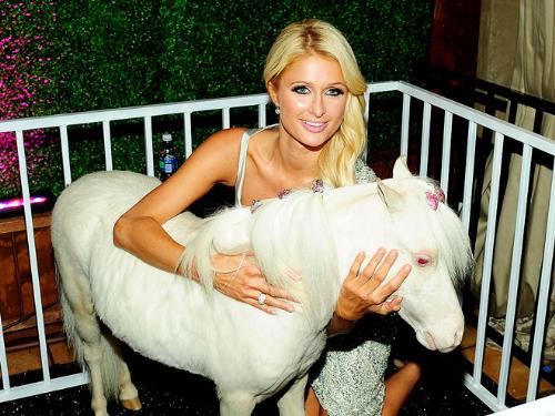 Paris Hilton and friend - Paris Hilton with an Albino minny horse named Chanel.