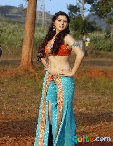hot hansika - This is a picture of hansika motwani the hot tamil actress.
