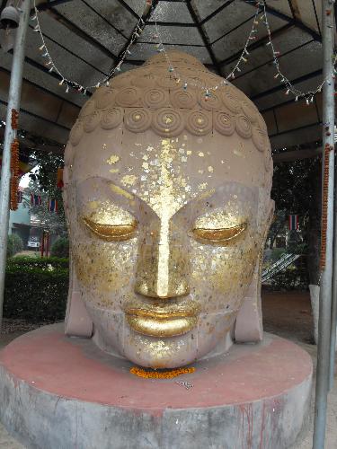 buddha - this is the statue of Buddha in the city of sarnath (India) made by the artists from thailand.
