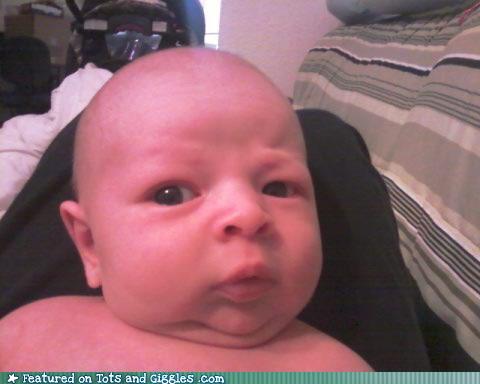 skeptical kid - a funny picture of a skeptical kid