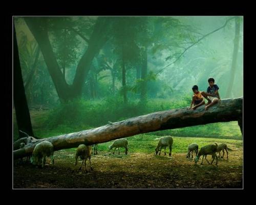 Beautiful Pictures! 001 -  I think there is a sad behind this picture....  What is it? What you think? Share with me ....