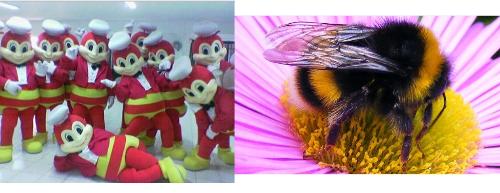jollibees and the bumble bee...why they don&#039;t have - jollibees and the bumble bee...why they don&#039;t have same colors?