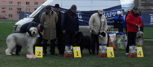 Romanian shepherds winners - Winners in the Best Romanian Shepherd contest at CAC Brasov 2011