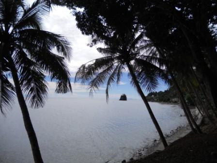 ambon beach - this is the view of ambon beach. so nature. very interestingly. it's just 1 hour from city center of ambon.