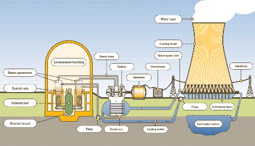 image of an older nuclear plant design-boiling wat - this is an image of an older nuclear reactor design, it is known as a boiling water reactor (BWR), its a simple design that boils water, steam runs the turbine, excess steam is caught and returns back for another cycle.  BWR is one of the earliest designs of nuclear plants it is originally an american design, more advances and designs now exist.