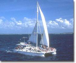 catamaran - just a cat sailing along woohoo