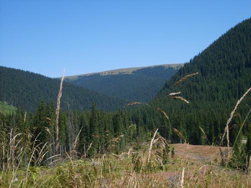 Obarsia Lotrului - This is the place we had planned to go. The picture is taken three years ago, when we went there the last time.