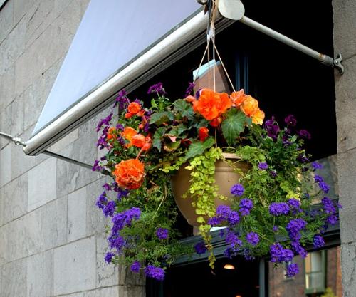Flowers in the Pot - This is seen in one of the windows of a building in Montreal. The combination of colors of flowers in the pot is so beautiful!