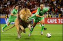 our moroccan team - the moroccan team(lions) vs the algerian team