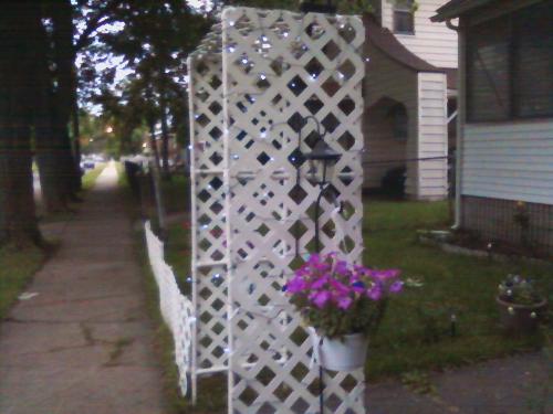 Trellis my friend built - another view of the trellis my friend built. He made the fence as well.