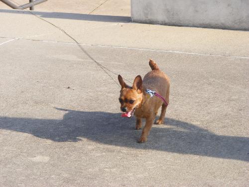 Baby Girl - Out for a walk