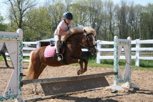 Candy and Emma - Candy is the pony. She is a 16 yr old Halflinger/Sheltand/Welsh mare. Emma is her owner and rider.