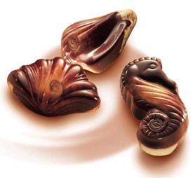 Gulyian Chocolate Seashells - Absolutely gorgeous they iz! :D