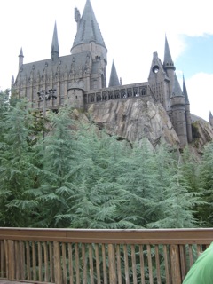 Harry Potter exhibit - This is a castle (obviously) from the Harry Potter Exhibit at the Universal Studios Theme Park in Orlando. It was lots of fun. If you go, plan to spend a whole day. And be prepared for heat and humidity. Be certain to wear comfortable walking shoes.