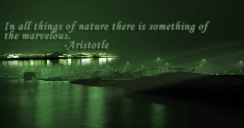 Nature effects - Nature effects