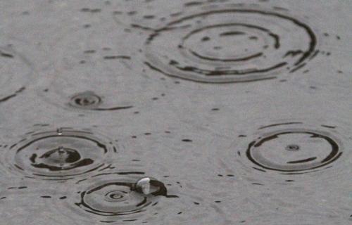 Rain - Circles on a pond, made by raindrops