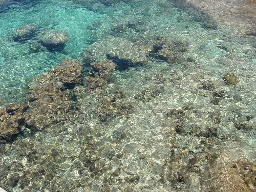 Tortola water - I miss this cruise so much!  Go to Tortola on a cruise preferably.  You won't regret it!