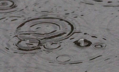 Raindropcircles - Raindropcircles, more common than corncircles