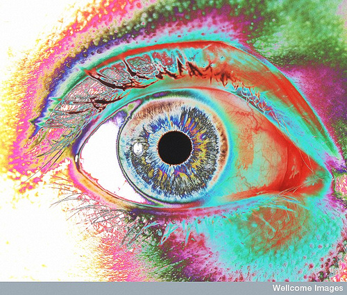Colorful human Eye - A colorful human eye represinting the different things humans may seen as interesting 