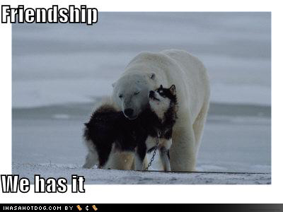 Friendship - A lolcatz style photo of a dog and a polar bear nuzzling each other in a sign of mutual friendship.