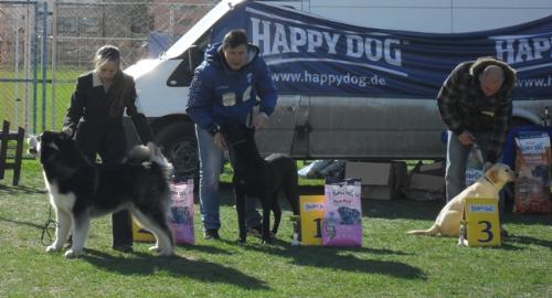 Best Puppy in show judging - at CAC Brasov 2011