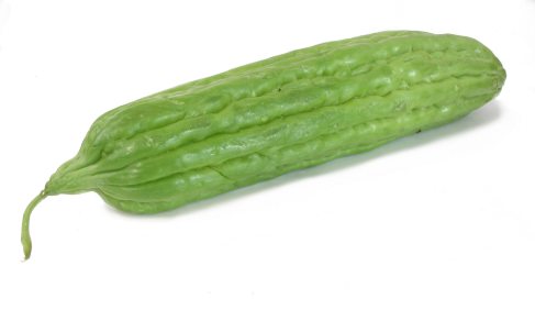 bittermelon - bittermelon/bitter ground