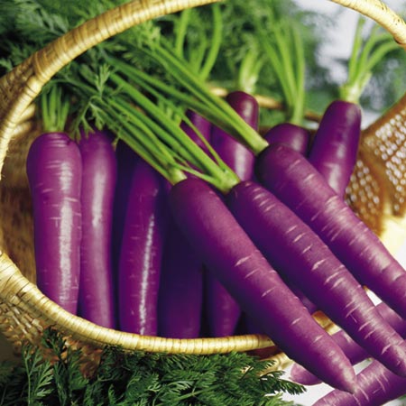purple carrots - can you try to eat one? :)