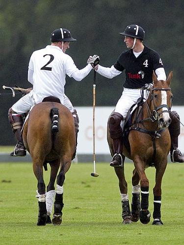 Good Game - The brothers Prine Harry and Prince William showing good sportmanship after a match.