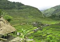 Banaue Rice Terraces - beautiful places in the Philippines! Mabuhay!