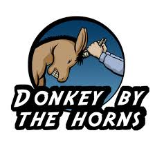 donkey with horns? - donkey