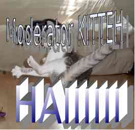 Warning: warrior kitten detected - this is what happens if admin and army of moderators sees you're topic w/violation