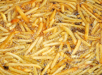 deep frying - deep frying fries