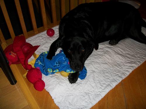 Me with my toys - Miki and his toys