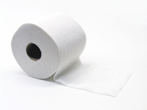 Toilet Paper - Life would not be the same without it! LOL!