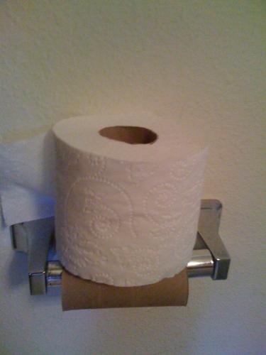That is so lazy! - A rant: I can't stand people who can't change the toilet paper roll!