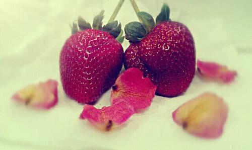 strawberries - don't you think it is so.. Adorable! ^^