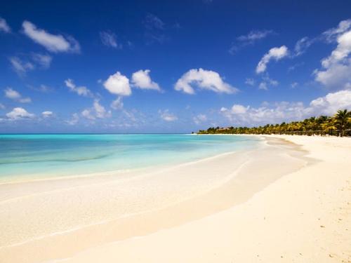 Barbuda Beach - A beach Princess Diana loved to spend time at.