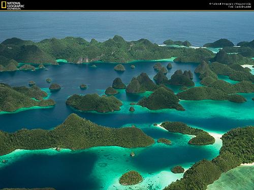 The beauty of Raja Ampat - WEST PAPUA ISLAND SORONG-RAJA AMPAT  the best destination dive in the world