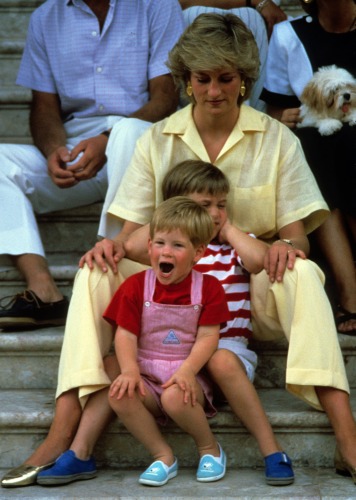 Diana And her boys - Here is a photo of Princess Diana when the boys,William and Harry,were young.