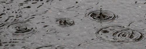 Raindropcircles - Raindrop on a pond