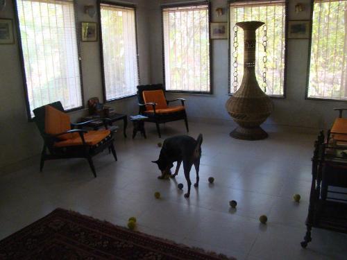 Preiti with her toys - Our hall becomes a playground for Preiti specially later evenings.