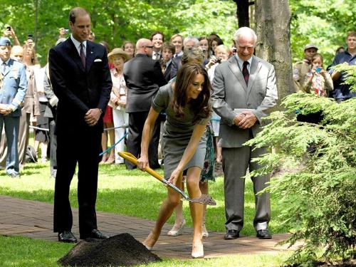 Kate and a shovel - Kate shoveling some dirt under the tree honoring her and Williams marriage.
